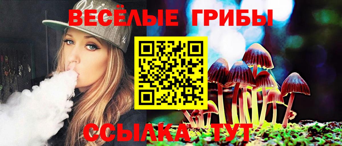 Псилоцибиновые грибы GOLDEN TEACHER Реутов