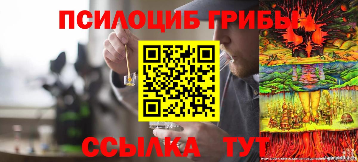 Галлюциногенные грибы Psilocybine cubensis  Псилоцибиновые грибы мицелий  Вход с VPN  Реутов 